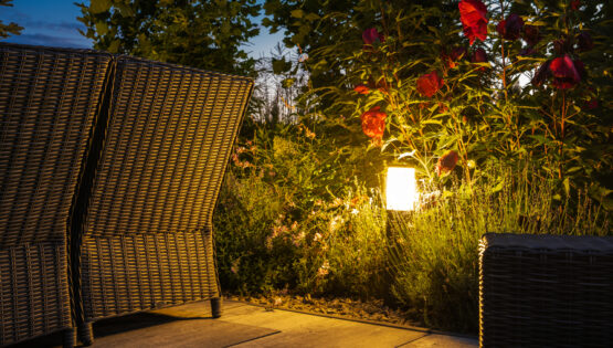 In-ground lighting fixture in an outdoor patio area. A patio chair and foliage surround the wayfinding light.